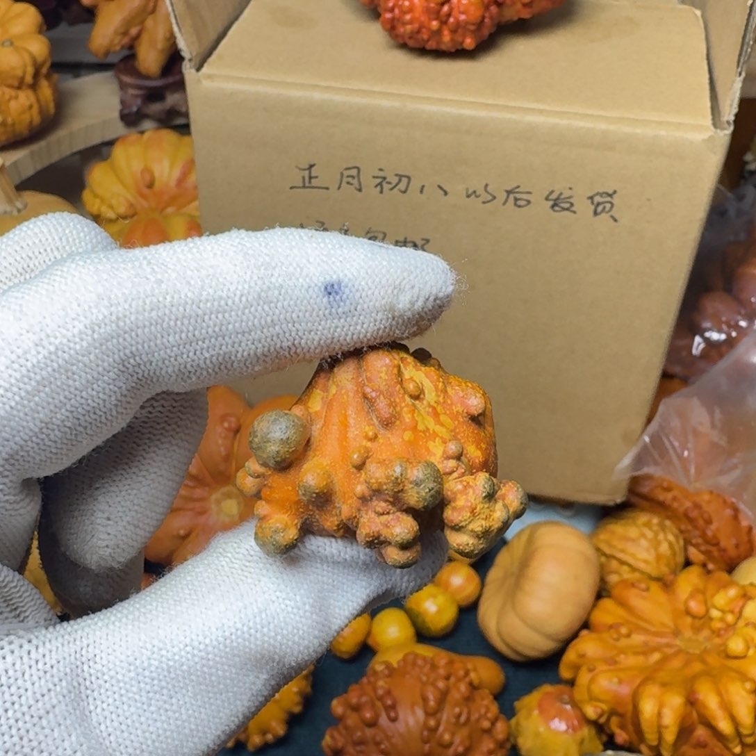 ༤****特价葫芦不退不换