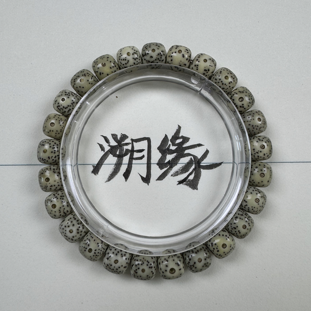 星月菩提同枝果石玉瓷白料9mm左右（新手推荐）