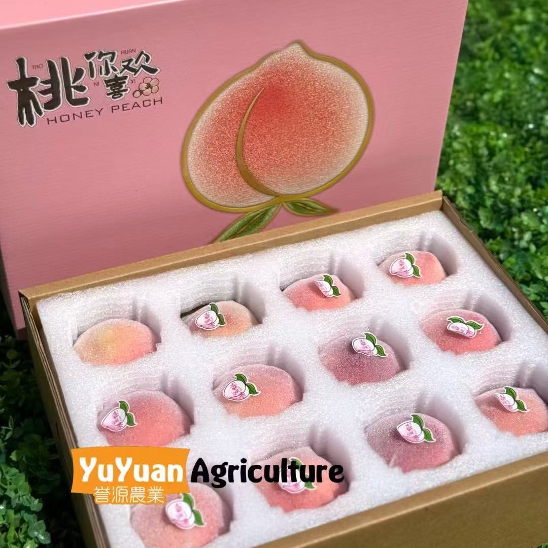 四川龙泉驿水蜜桃12枚4.5斤装水蜜桃