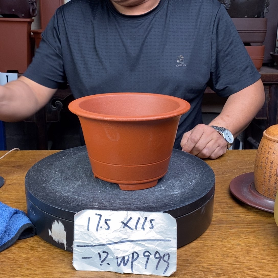 紫砂货号一只WP999