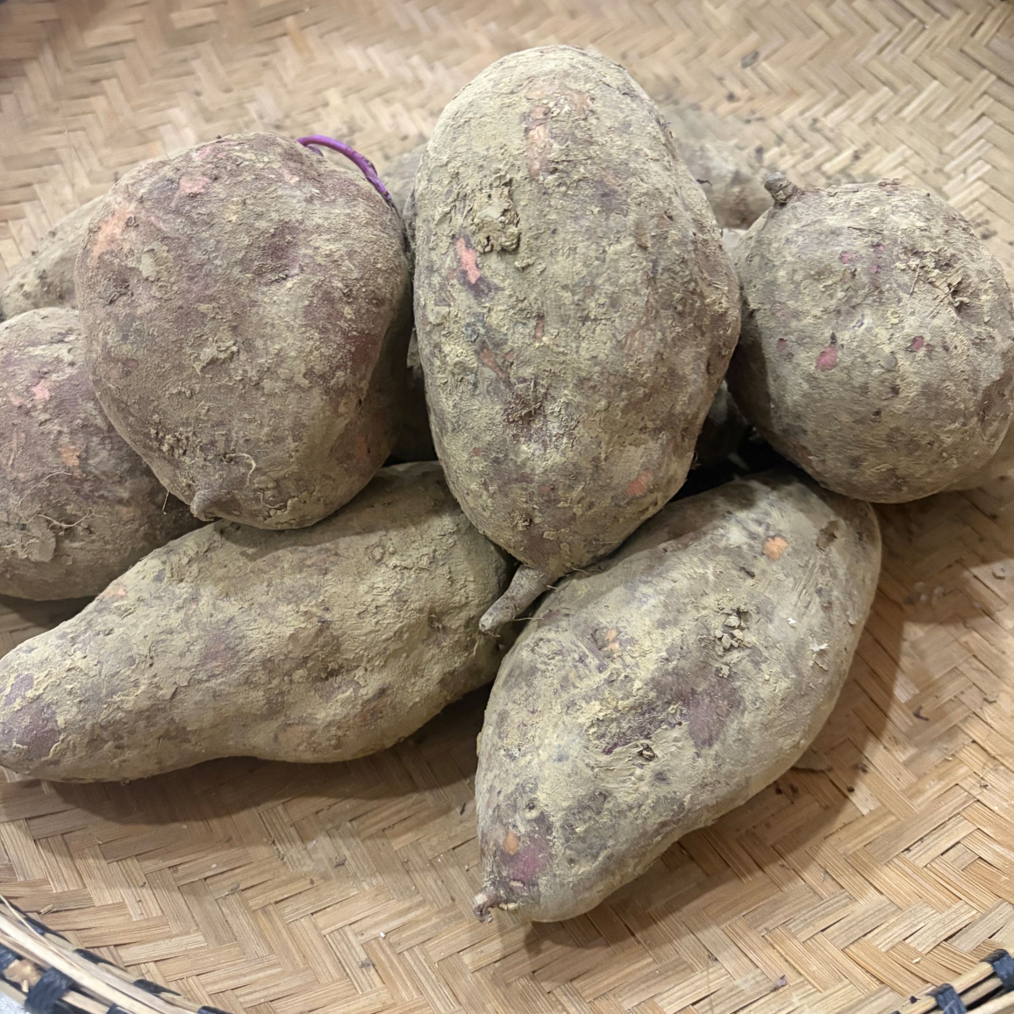 贵州农家自种红薯5斤纤维粗粮健康营养好吃包邮