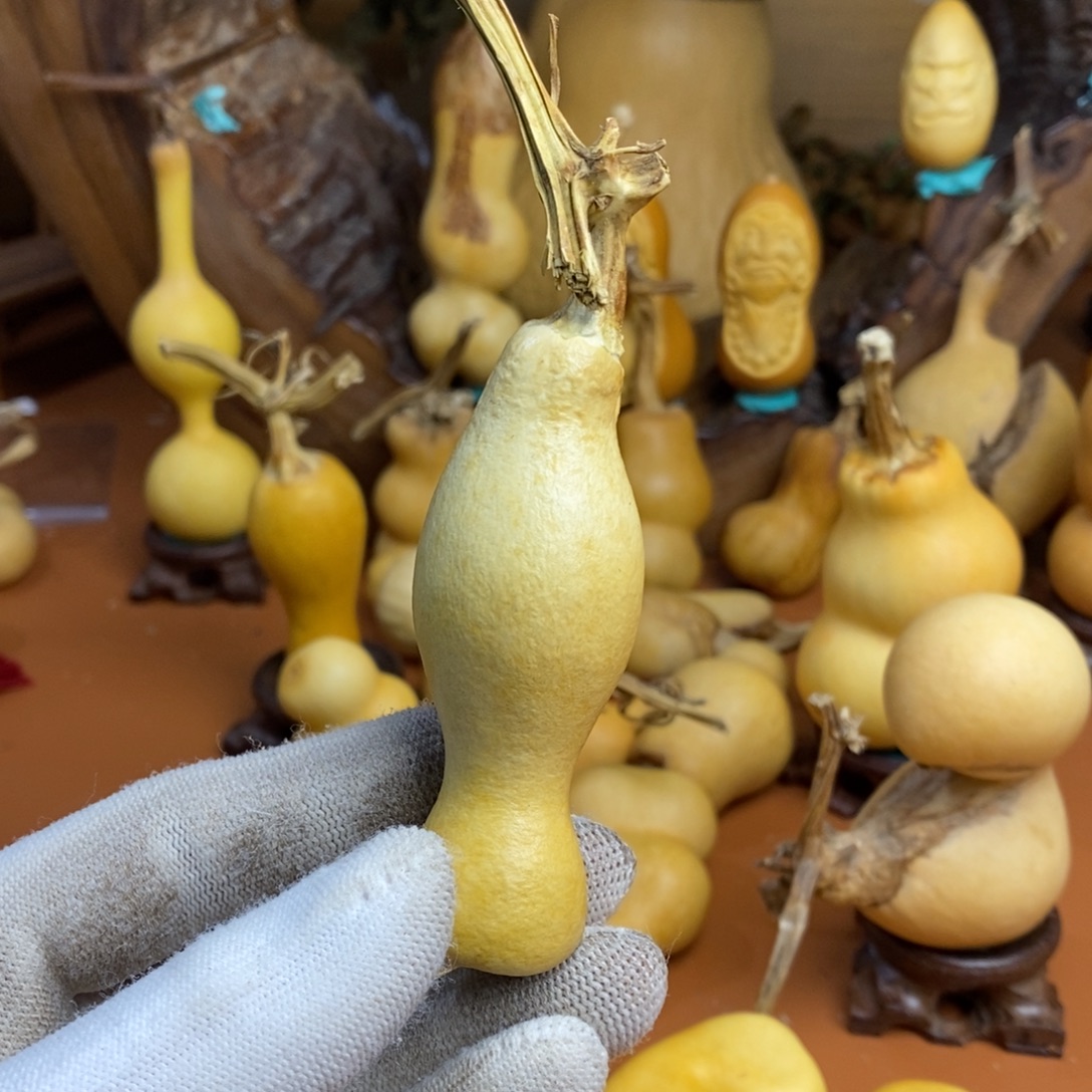 涛***J哦哦咯教练咯教练咯教练咯