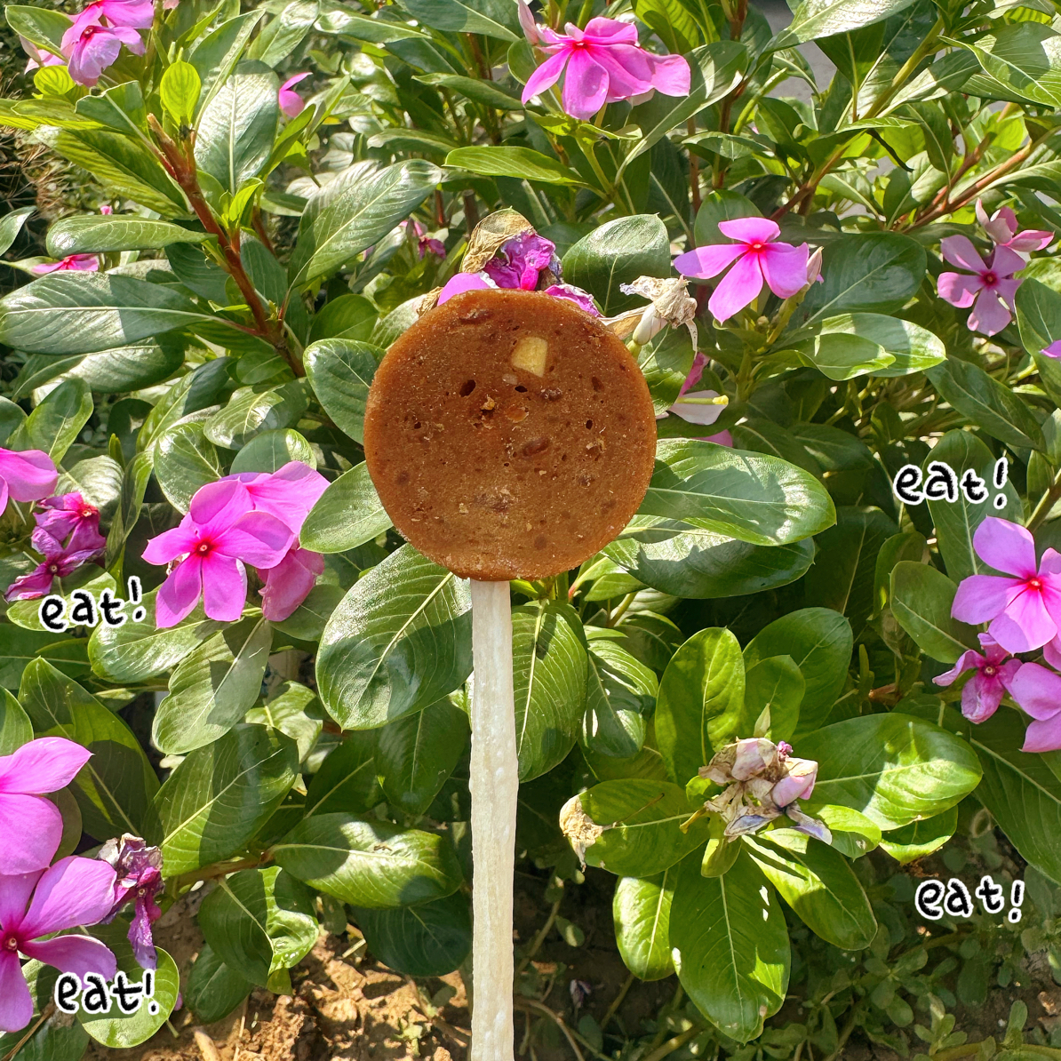 [满50包邮]宠物磨牙鸡肉鸭肉梨棒棒糖3支 吃肉磨牙适口性好