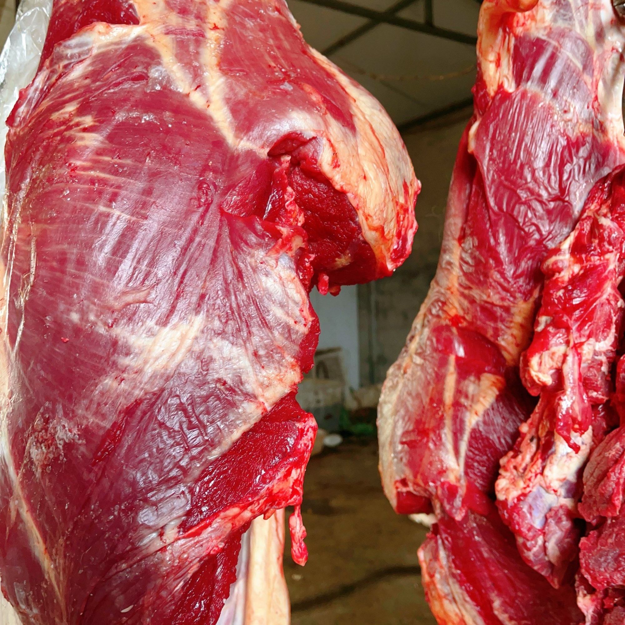 青藏高原天然馈赠黄膘牦牛肉后腿肉