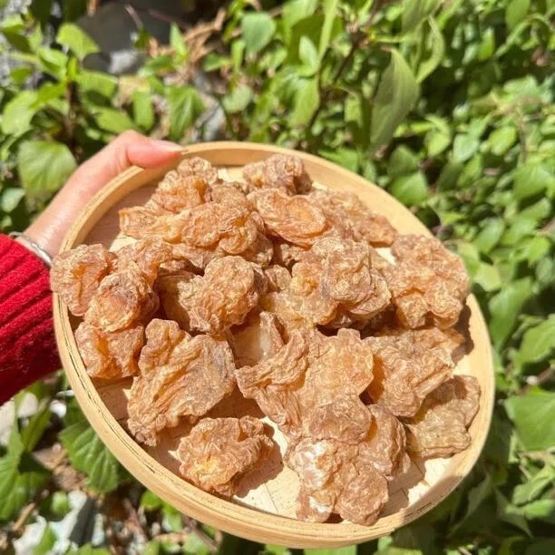 （云南夫妇）玉精灵