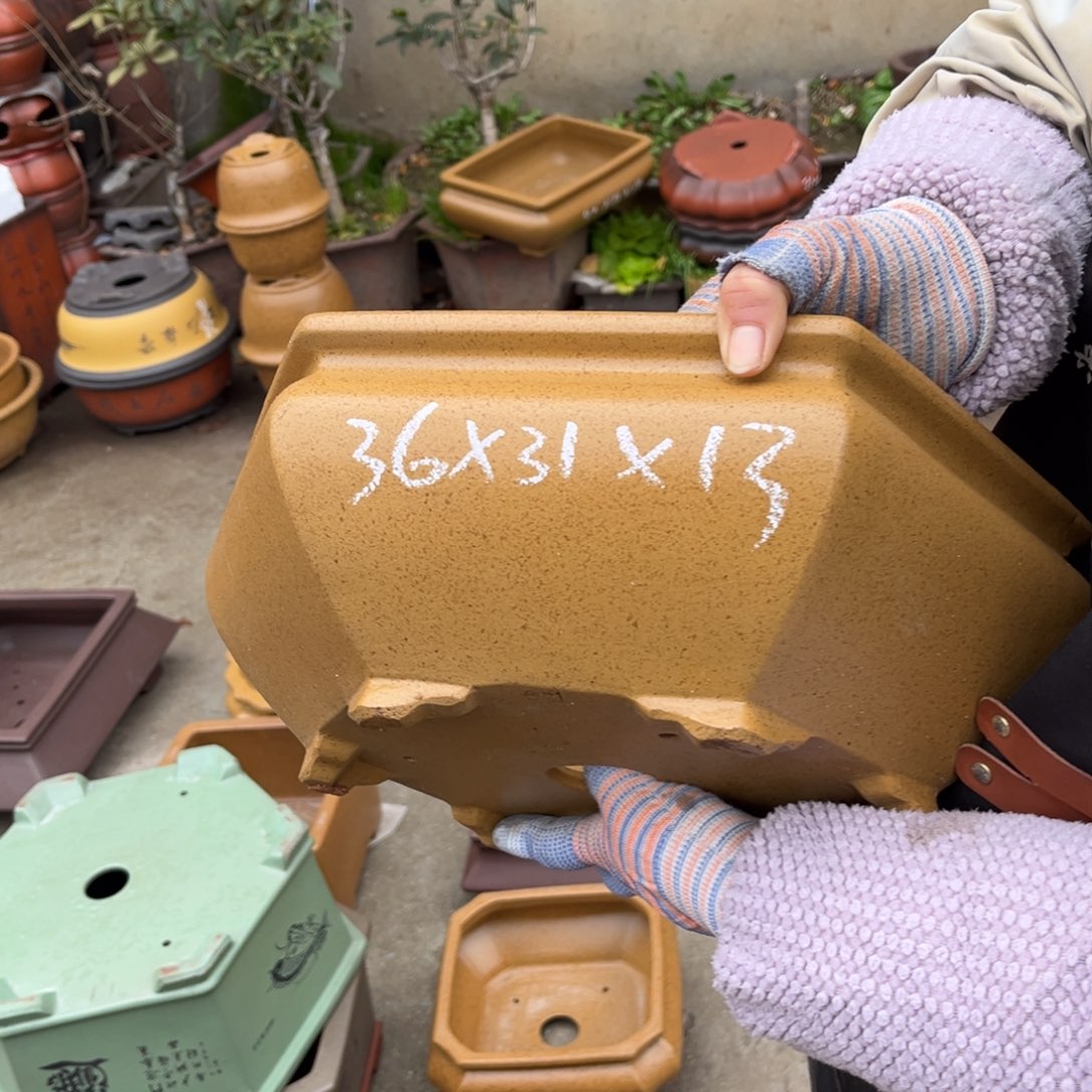 紫砂花盆盆景艺术