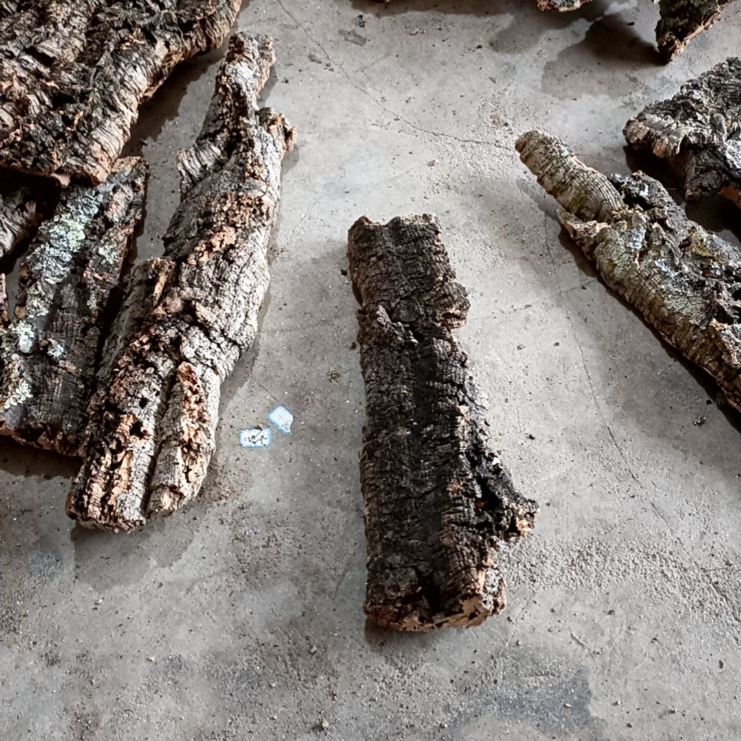 木一物一拍一物一发