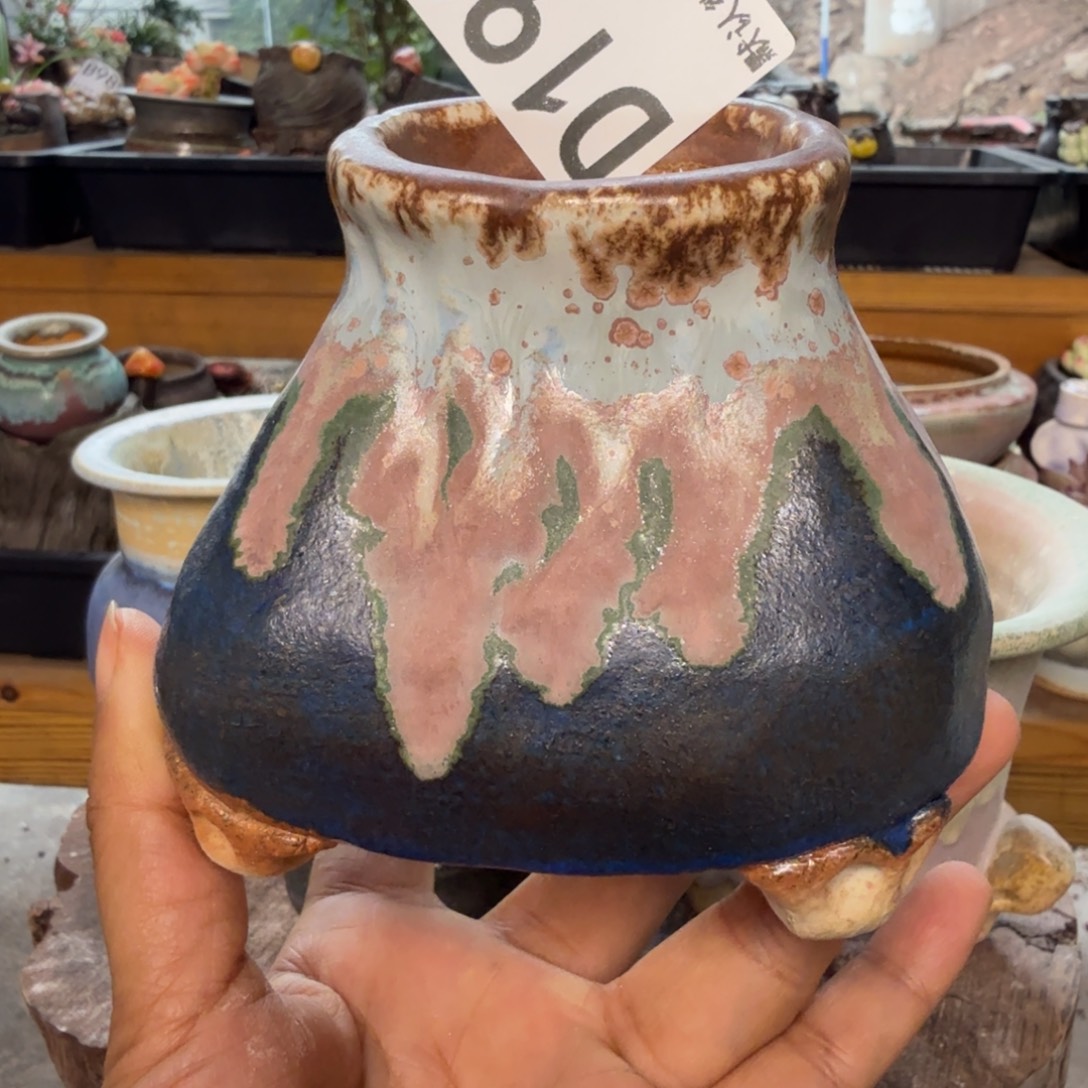 重庆小燕子欢迎大家193