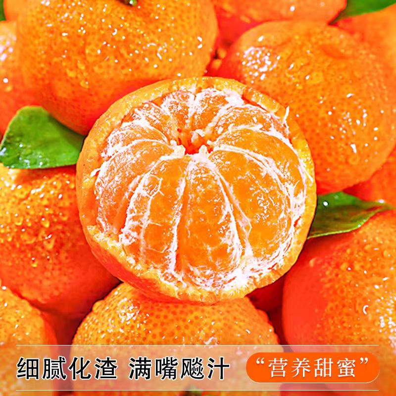 【顺丰包邮】现摘云南砂糖橘整箱正宗新鲜砂糖橘金秋沙糖桔应季水果