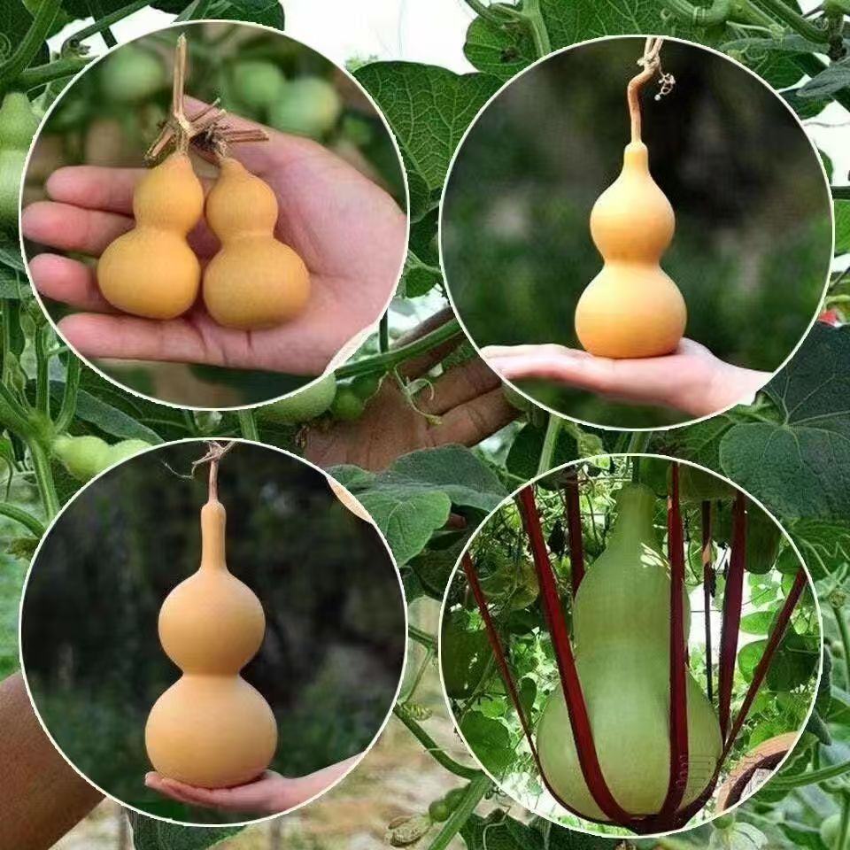精品八宝葫芦蚂蚁葫芦