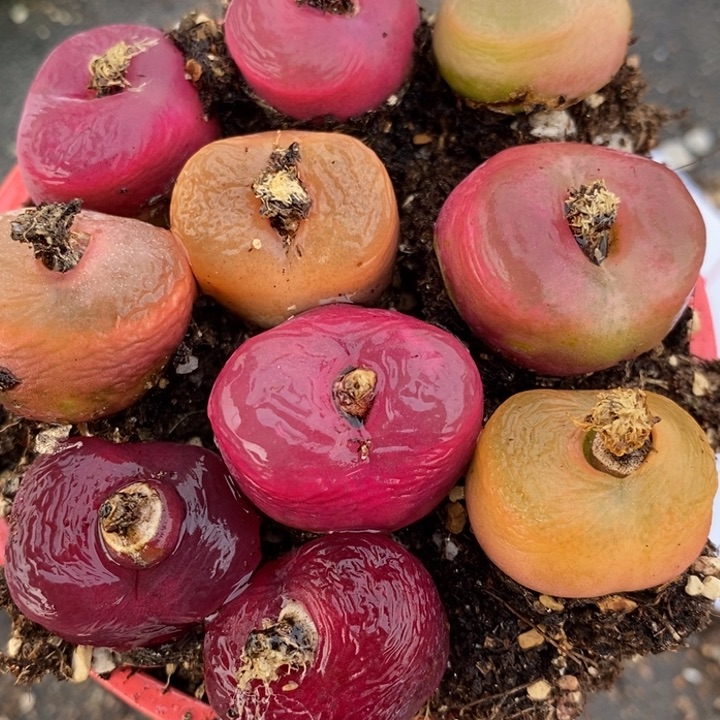 17100一组一组一组