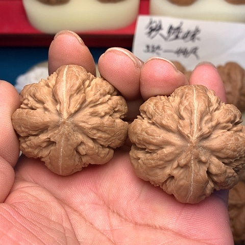 文玩核桃把件文***者肚子45尺霸王龙