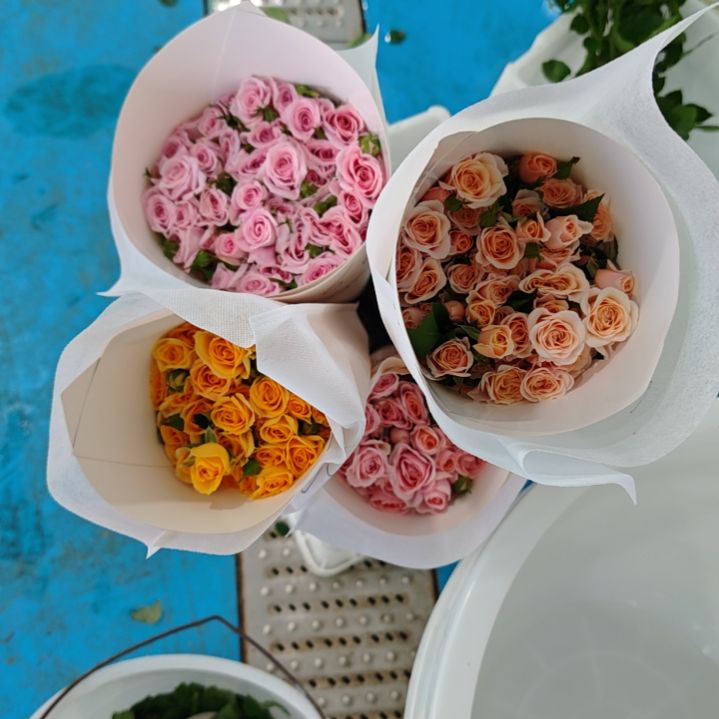 完全开放晴晴链接