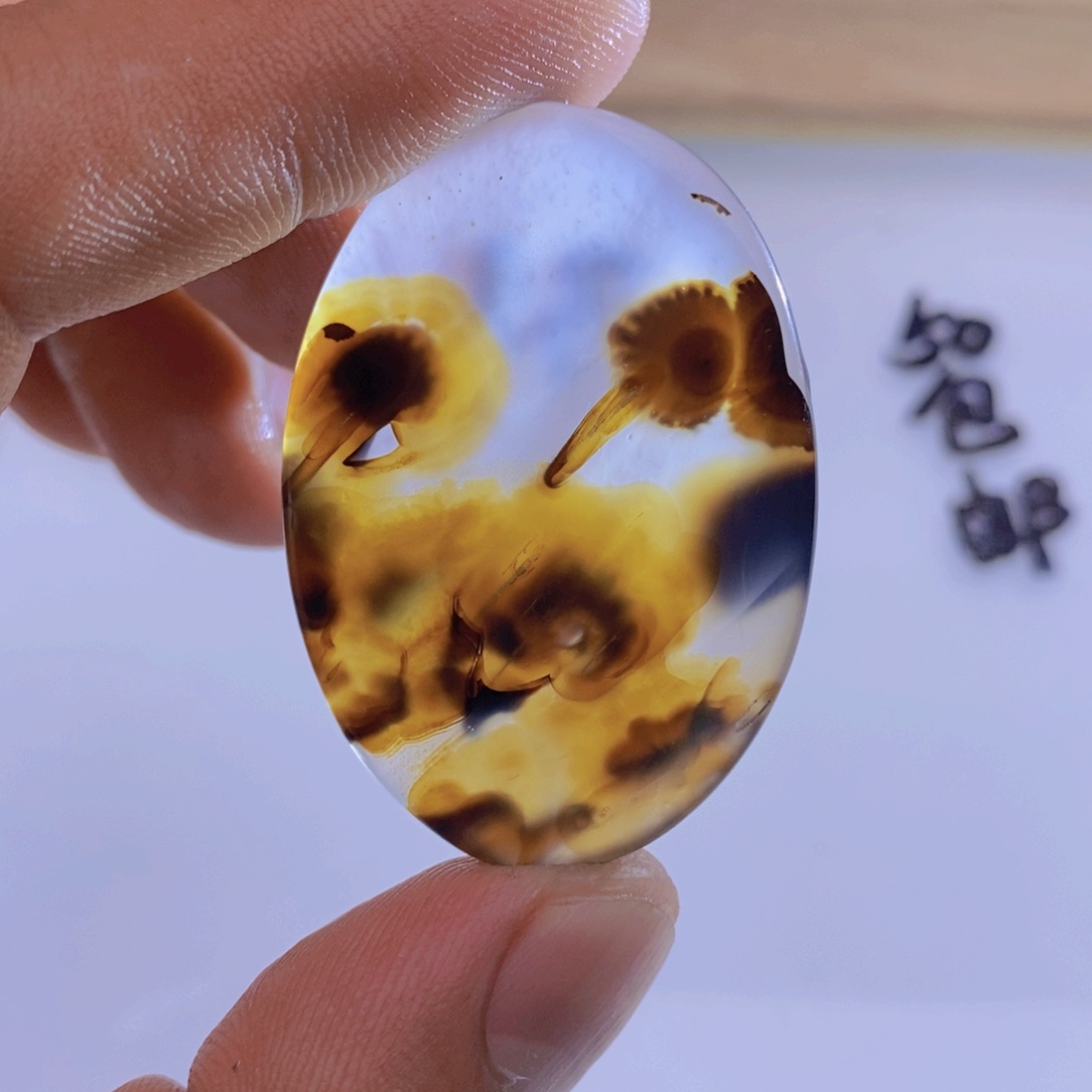 玛瑙/玉髓颈饰未镶嵌丫**?