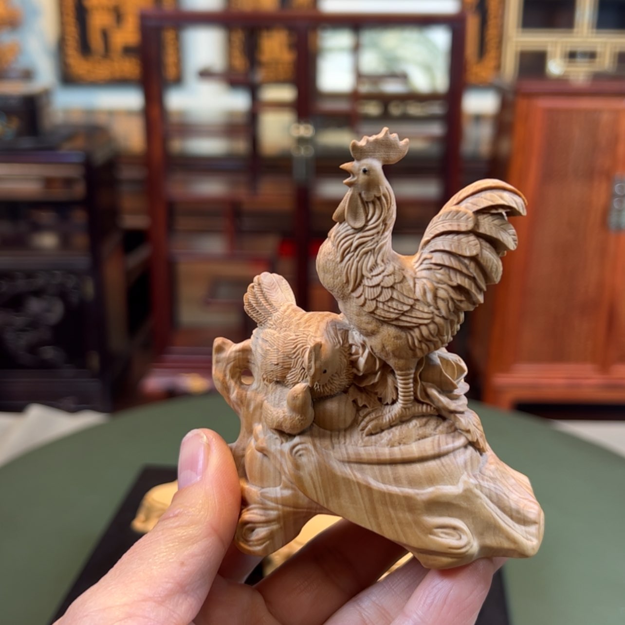 【闪购商品】黄杨木其他黄杨木