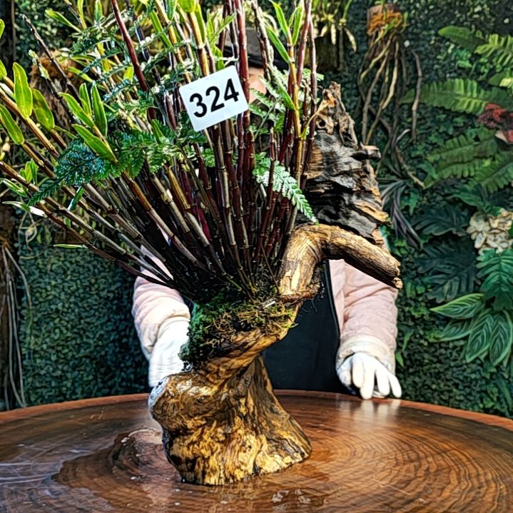 【闪购商品】324铜皮精品紫红杆花花