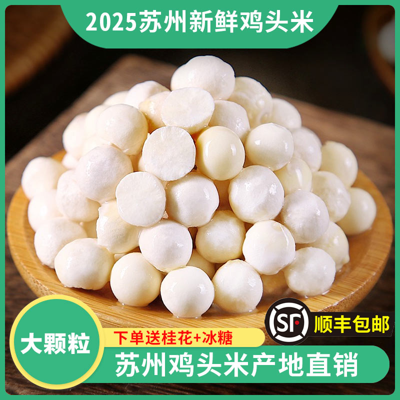 【大颗粒苏芡】2025新鲜现摘  苏州鸡头米 口感软糯 包邮