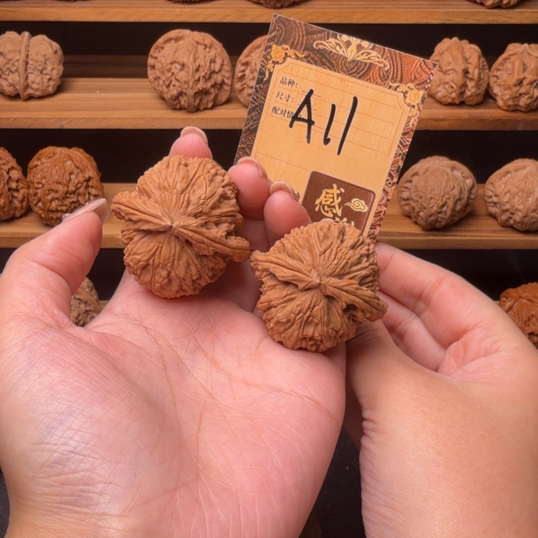 核桃a11白狮子4.2+