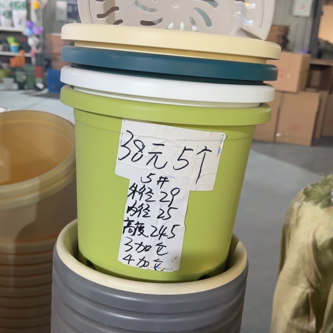 四季5#口径29无拖灰白10个