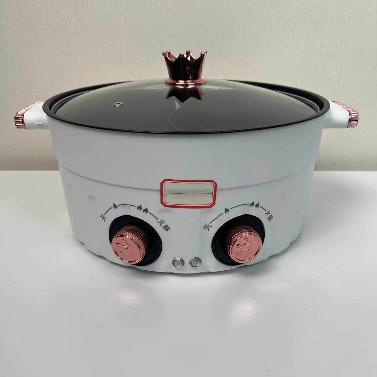 电热锅220V家用不粘1800W电炒锅多功能料理锅防烫