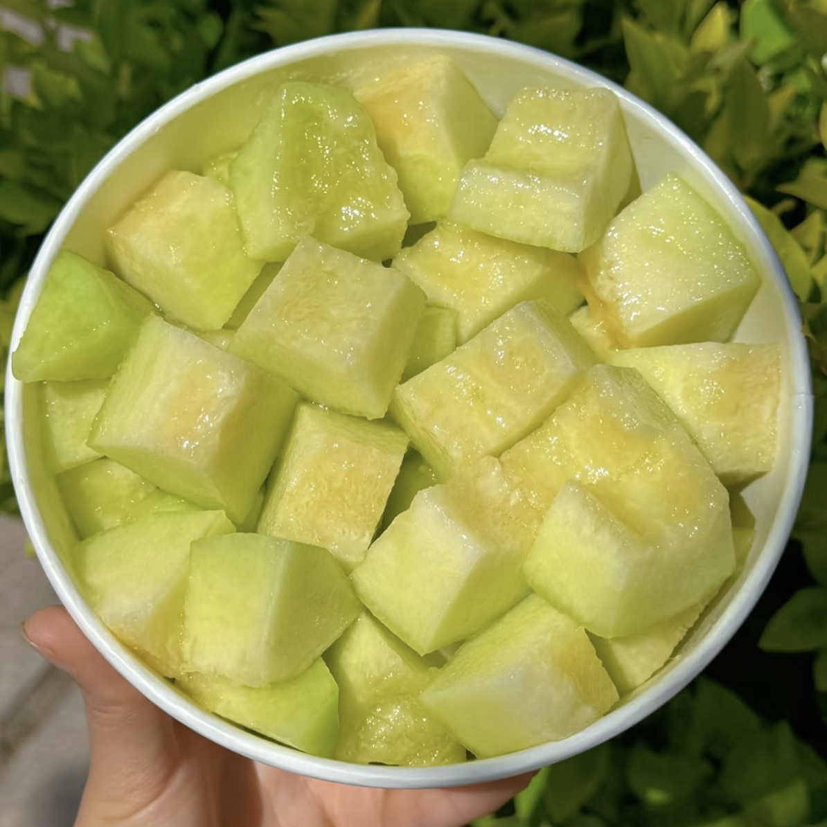 果切【软糯多汁】口口蜜1盒 瓜香味十足