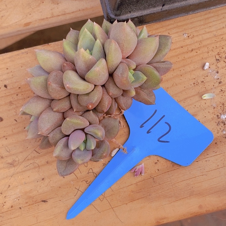 在家待几小时啊亲