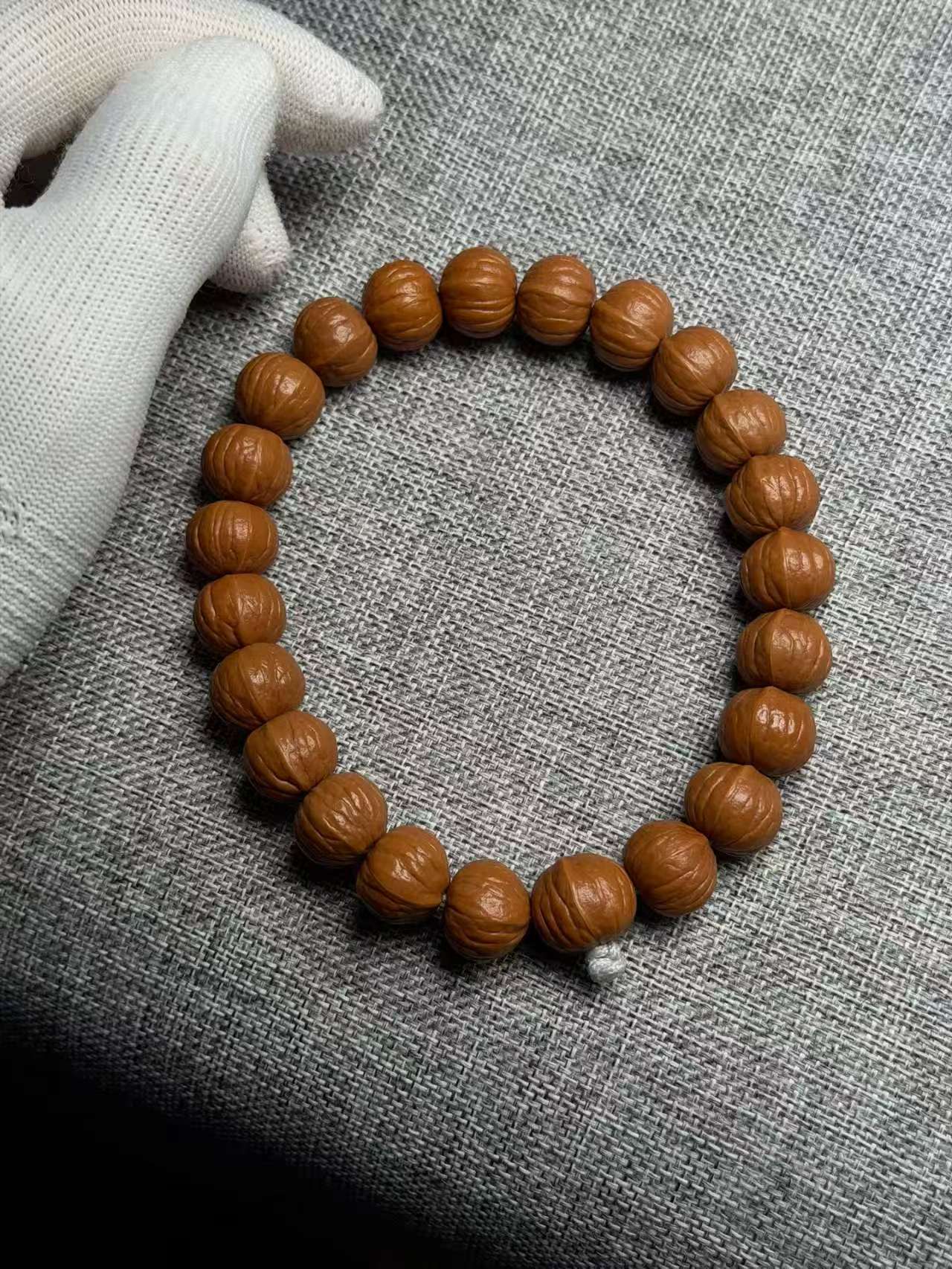 猴头双鳍南瓜原皮 毕业款