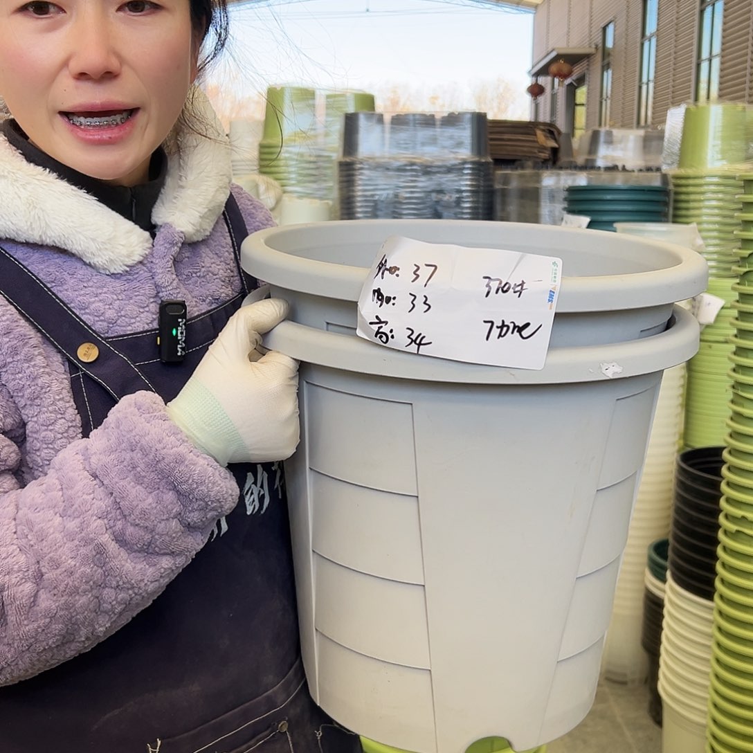 玫瑰盆370#灰白4个无托