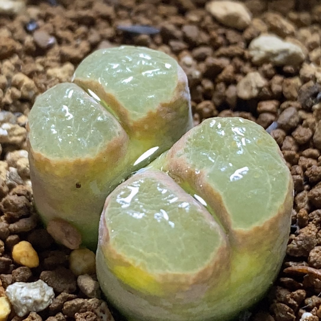 好看好看好看1802.83ap