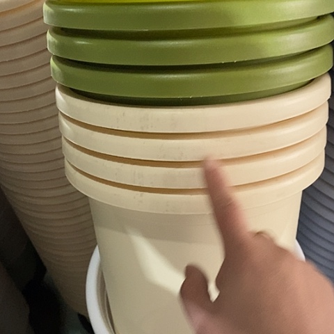 树脂特价4号果绿4米黄4带托