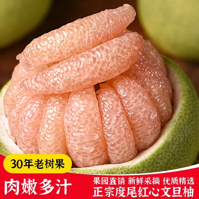 仙游度尾红心文旦柚30年老树酸甜可口多汁 柚子单果约重450-600克