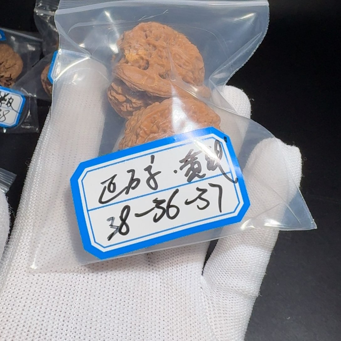 文玩核桃把件与*书23号有黄