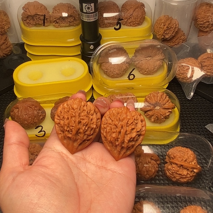 38高尖龙门  深凹底    