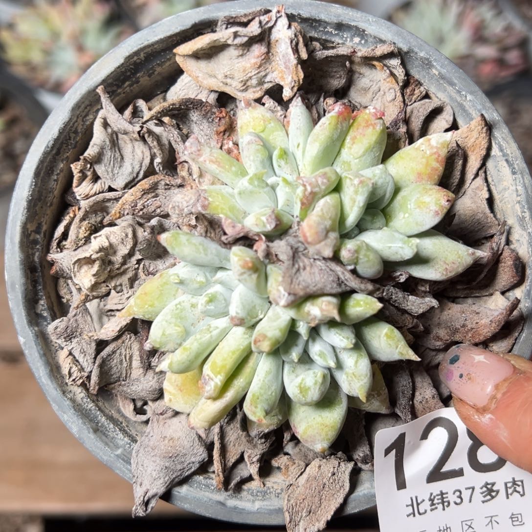 1281哈哈哈哈哈哈哈哈哈