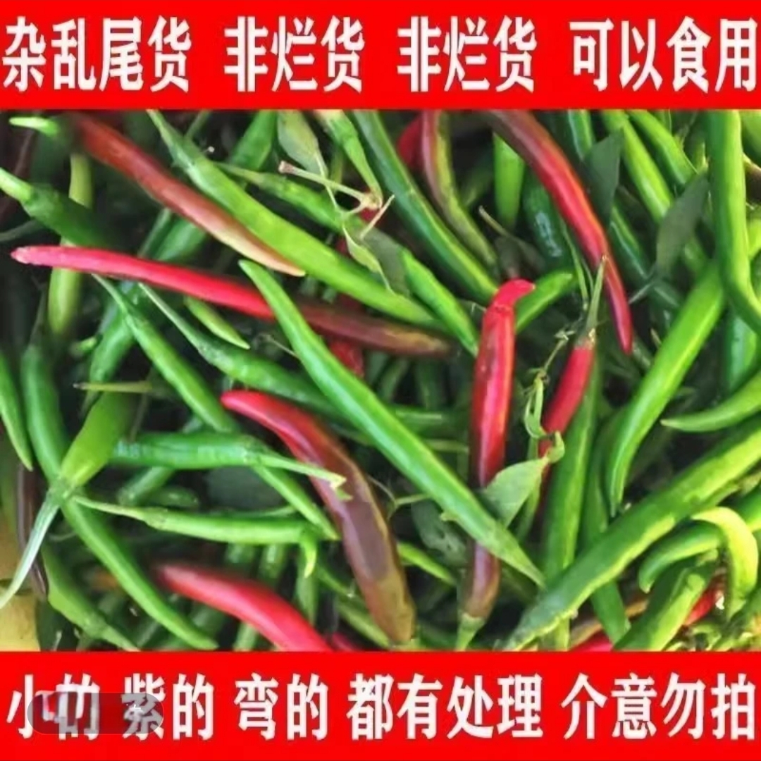 当季安徽本地二荆条辣椒青红紫混合发货新鲜蔬菜青辣椒