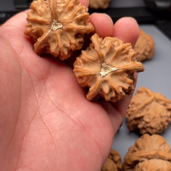 文玩核桃把件?****?盘山公子帽三棱