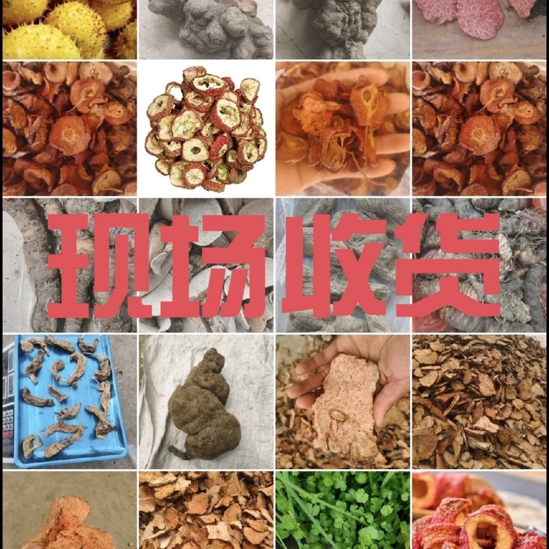 [阿俊哥下山货]赶集临时连接根茎类