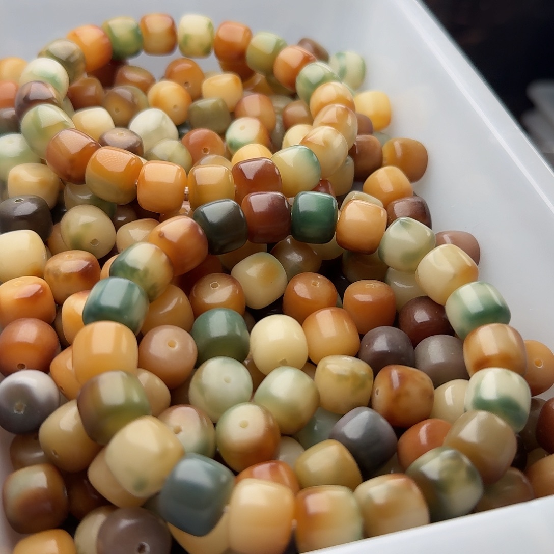 菩提根/象牙果吊坠50 颗秋野 12 干磨正桶