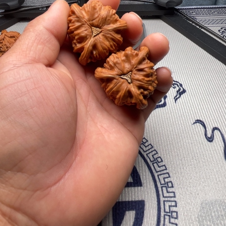 会***鱼文玩核桃吊坠三棱三棱三棱三棱