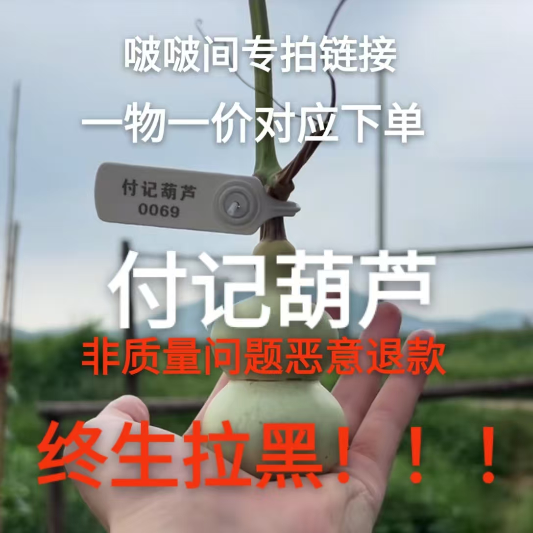 直播间专拍游戏链接