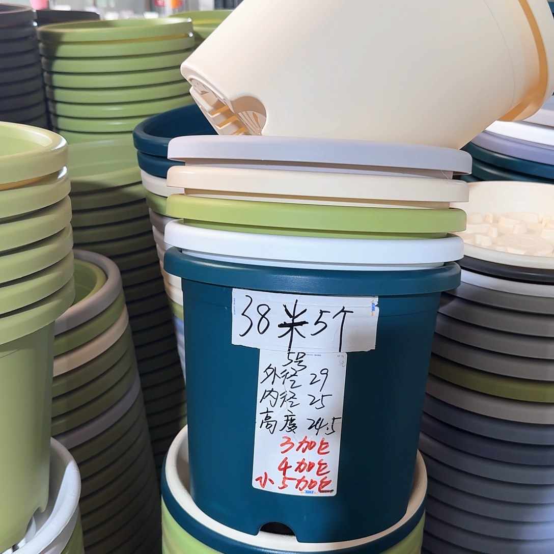微瑕5#无拖米黄色6个