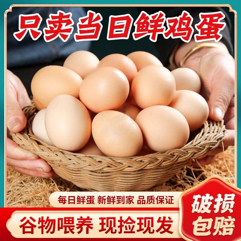 （精）【整箱50枚】正宗农家散养土鸡蛋新鲜草鸡蛋 45-50克/枚
