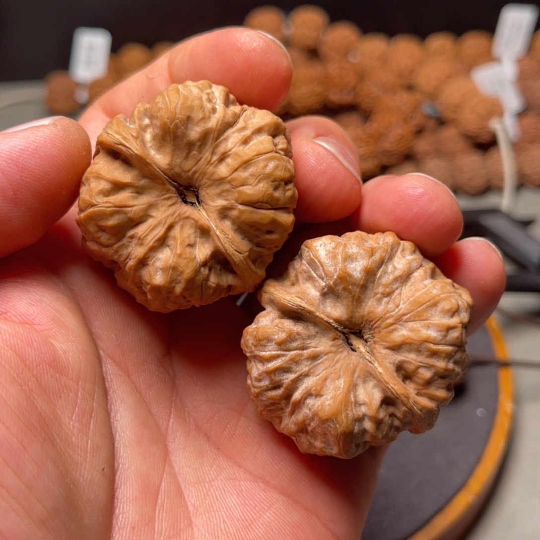 漫***金刚菩提手串全品蛤蟆头核桃 39+