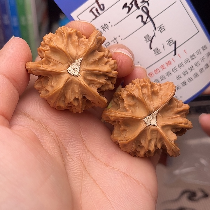 文玩核桃手捻核桃516