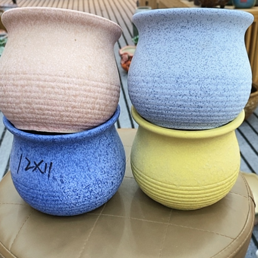 【闪购商品】福利花盆9.99包邮