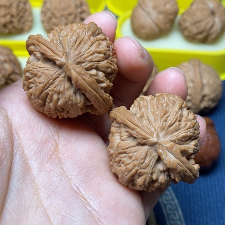 文玩核桃白狮子40