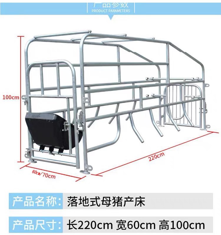 加厚落地式母猪产床带漏粪板简易设计限位保育一体养殖设备