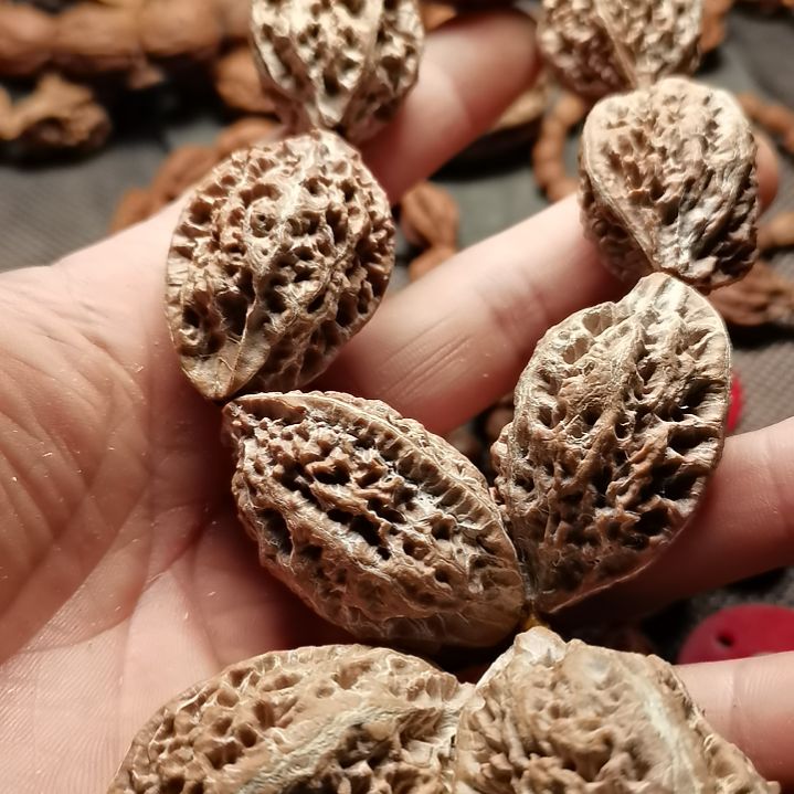 文玩核桃手串东北秋子异型核桃20