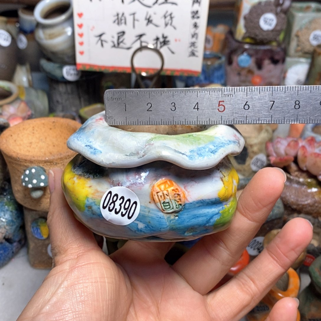 花盆拍1送一个小礼物
