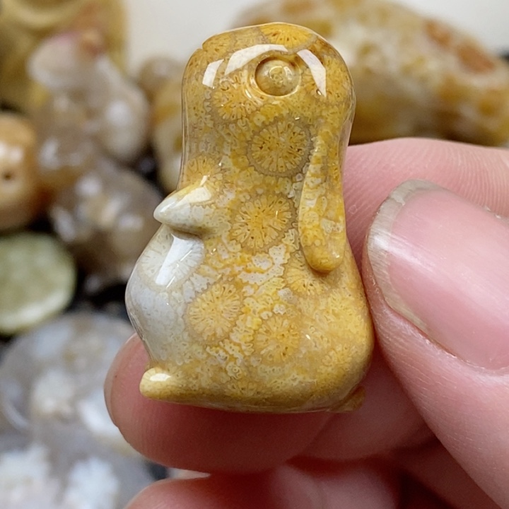 颈饰未镶嵌硅化珊瑚（珊瑚玉）